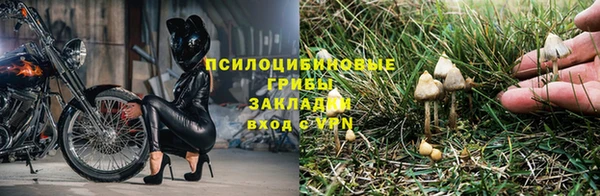 бошки Остров