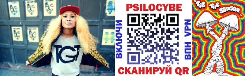 Псилоцибиновые грибы Psilocybe  Среднеуральск 
